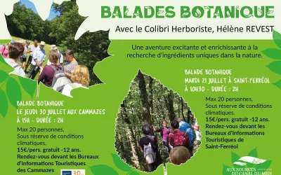 Balade botanique Saint-Ferréol