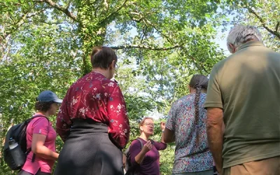 Balade 2h avec Hélène, animatrice nature spécialisée du Colibri Herboriste